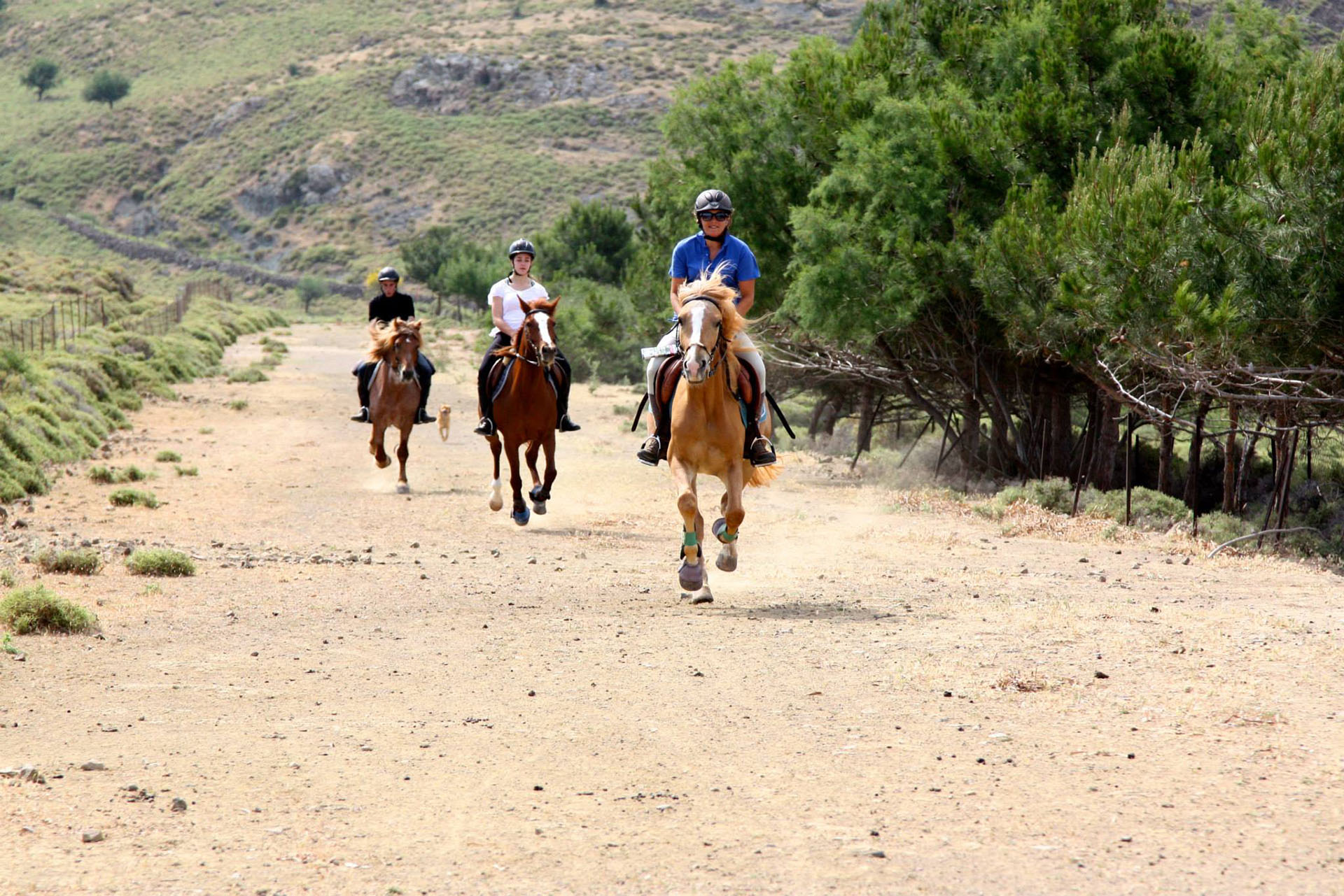 Βόλτα με άλογο στον Μόλυβο, Ιππικός Όμιλος Μήθυμνας 
